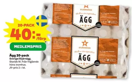 Stjärnägg - Ägg