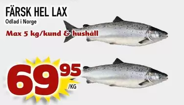 FÄRSK HEL LAX