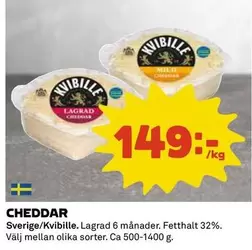 Kvibille - CHEDDAR