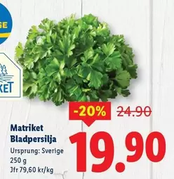 Bladpersilja