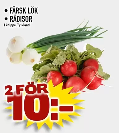 FÄRSK LÖK, RÄDISOR