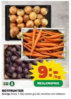 ROTFRUKTER