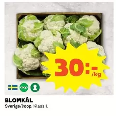 Coop - BLOMKÅL