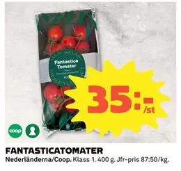 Coop - FANTASTICATOMATER
