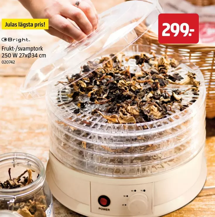 Frukt-/svamptork