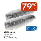 Sillfilé 30/60