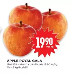 ÄPPLE ROYAL GALA