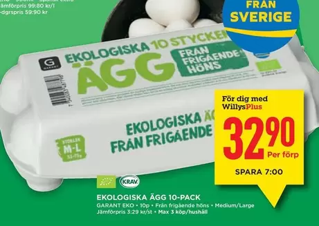 EKO - LOGISKA ÄGG 10-PACK