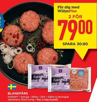 Garant - BLANDFARS