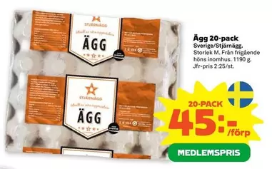 Stjärnägg - Ägg
