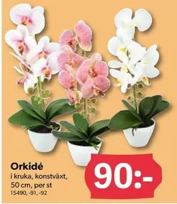 Orkidé