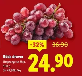 Röda druvor