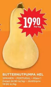 BUTTERNUTPUMPA HEL