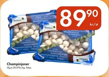 Champinjoner