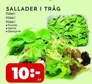 SALLADER I TRÅG