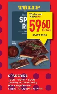 tulip - SPARERIBS