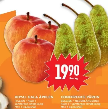 ROYAL GALA APPLEN or CONFERENCE PARON