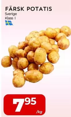 FÄRSK POTATIS