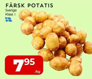 FÄRSK POTATIS