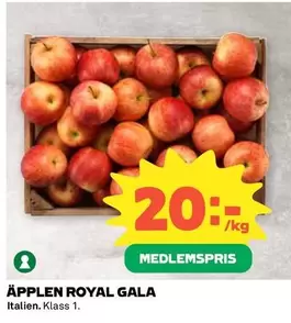 ÄPPLEN ROYAL GALA