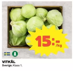 VITKÅL