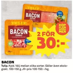 tulip - BACON