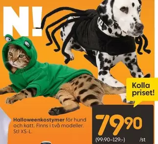 Halloweenkostymer för hund och katt