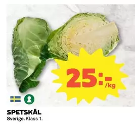 SPETSKÅL