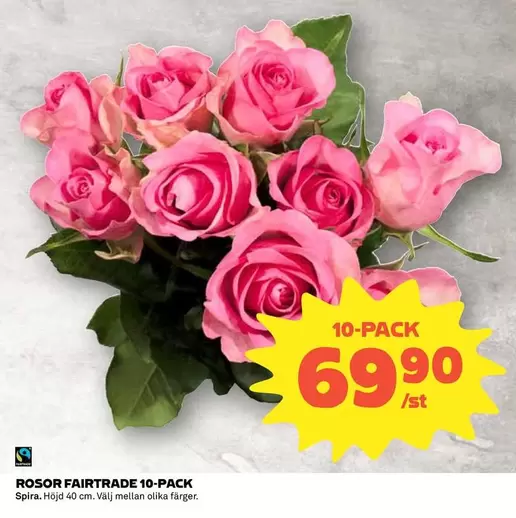 fairtrade - ROSOR FAIRTRADE 10-PACK