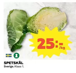 SPETSKÅL