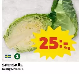 SPETSKÅL