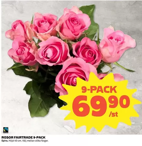 fairtrade - ROSOR FAIRTRADE 9-PACK