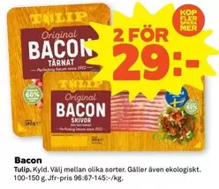 tulip - Bacon