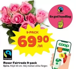 Coop - Rosor Fairtrade 9-pack