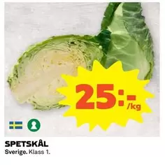 SPETSKÅL