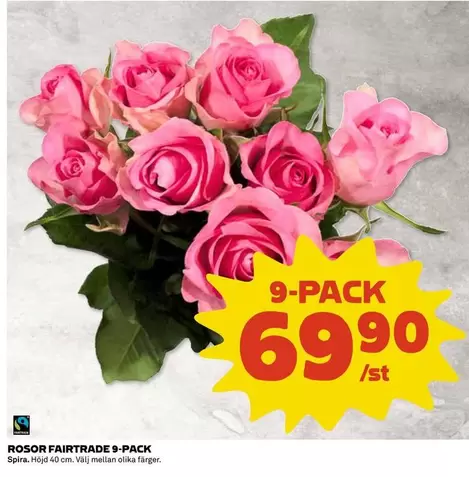 fairtrade - ROSOR FAIRTRADE 9-PACK