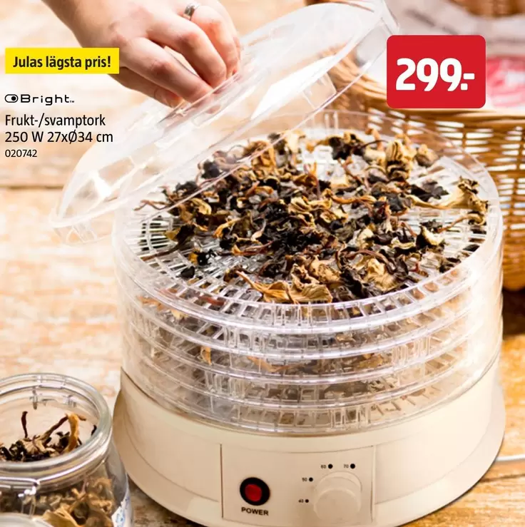 Frukt-/svamptork