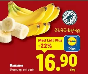 Bananer