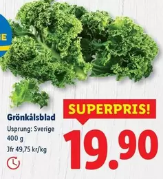 Grönkålsblad