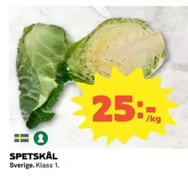 SPETSKÅL