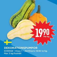 DEKORATIONSPUMPOR