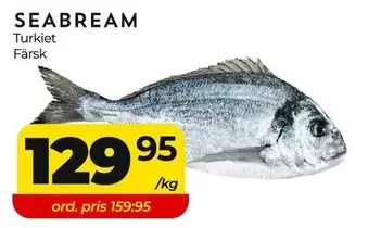 SEABREAM
