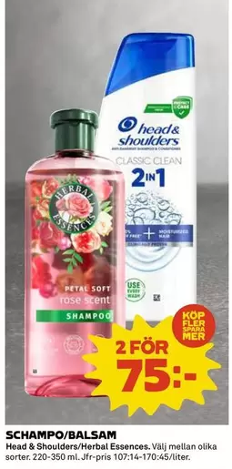 Rose - SCHAMPO/BALSAM