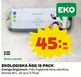 Änglamark - EKOLOGISKA ÄGG 12-PACK