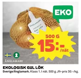 Änglamark - EKOLOGISK GUL LÖK