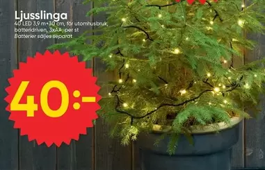 Ljusslinga