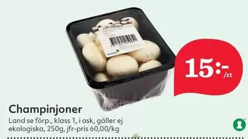 Champinjoner