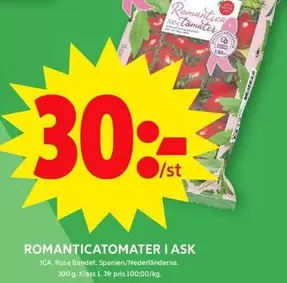 ROMANTICATOMATER I ASK