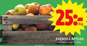 SVENSKA ÄPPLEN