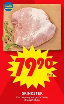 SKINKSTEK
